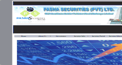 Desktop Screenshot of pashasec.com