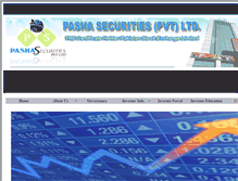 Tablet Screenshot of pashasec.com